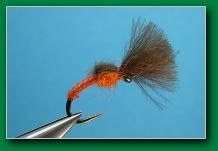 cdc_orange_midge_emerger