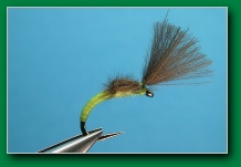 cdc_yellow_midge_emerger