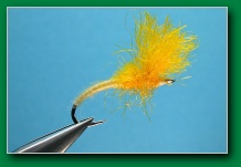 yellow_mayfly_emerger