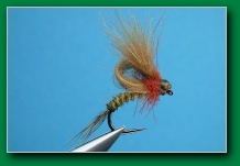 biot_emerger
