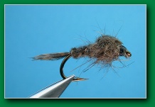 bwo_nymph