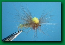 caddis_emerger