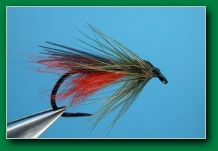 bloody_pukeko