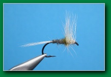 bwo_spinner