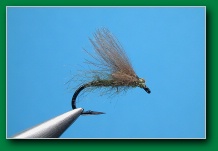 cdc_micro_caddis