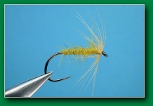 citronella