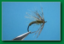 craggy_caddis_pupa