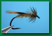 flatwater_caddis