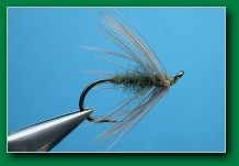 gray_hackle_olive