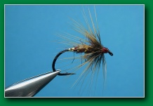 reddish_brown_flymph