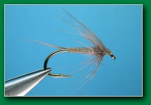 william_anderson_dun_quill_single_soft-hackle