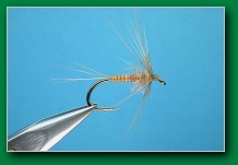 william_anderson_ginger_quill_single_soft-hackle