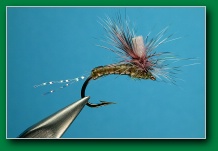 chironomid_emerger
