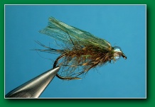 diving_caddis