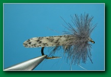 cdc_gray_sedge