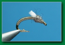 gray_foam_wing_emerger