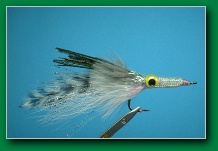 pearly_glass_minnow