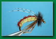 jimbos_caddis_pupa