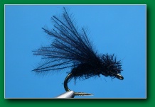 little_black_caddis