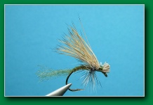 thorax_caddis_mayfly