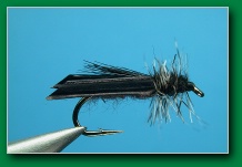 biot_wing_black_caddis