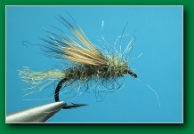 x-caddis