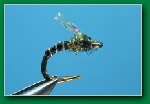 olive_ice_kf_wing_emerger