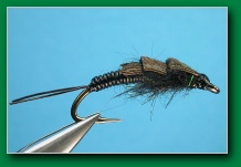 little_black_stonefly_nymph