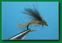 cdc_biot_bwo_emerger