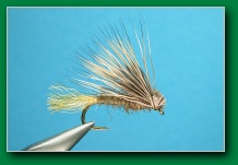 x-caddis