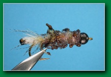 burnt_cased_caddis