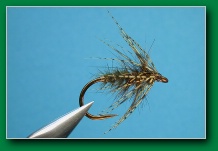 caddis_pupa_flymph