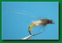 caddis_pupa