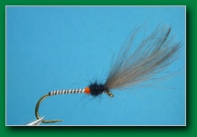 emerging_cdc_shuttlecock