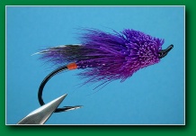 hot_butt_purple_caddis