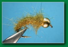 bead_head_caddis_pupa