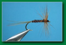 pheasant_mayfly