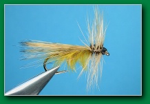 summer_caddis_blonde