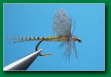 foam_wing_bwo