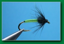 naked_caddis