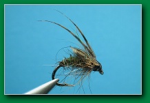 emerging_caddis_pupa_fall_coat