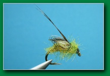 emerging_caddis_pupa_summer_coat