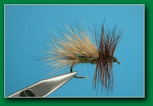 nelsons_caddis