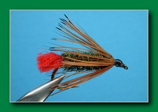 brown_hackle_peacock