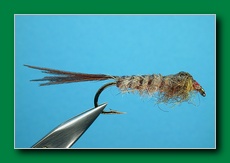 pheasant_tail_nymph