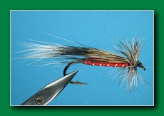 squirrel_tail_stonefly