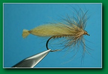 cdc_sedge