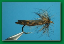 sedge_brown