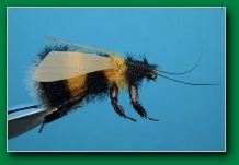 bumble_bee