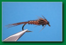 pheasant_tail_nymph